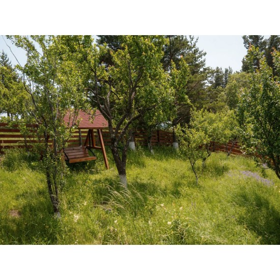 Fitness Retreat Catunul Lacului Fermecat 