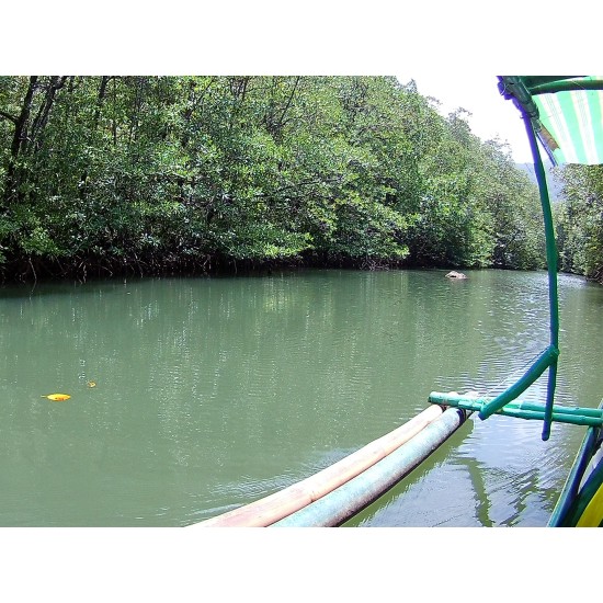 Circuit Palawan