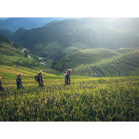 VIETNAM GRAND TOUR